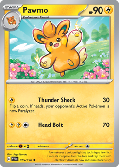 Pawmo 075/198 NM (ITA)