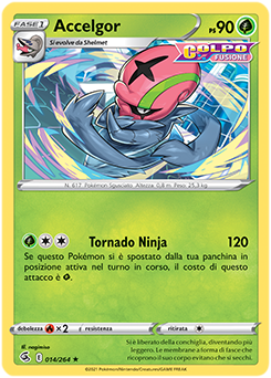 Accelgor 014/264 NM (ITA)
