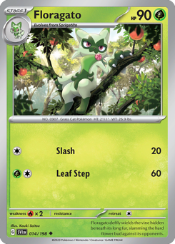 Floragato 014/198 NM (ITA)