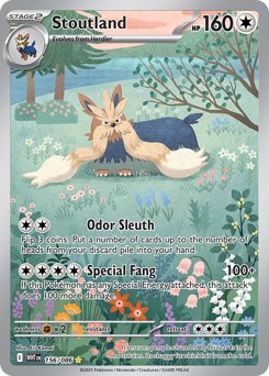 Stoutland 156/173 NM (ITA)