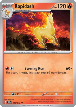 Rapidash 020/175 NM (ITA)
