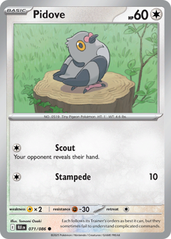 Pidove 071/172 Master Ball NM (ITA)